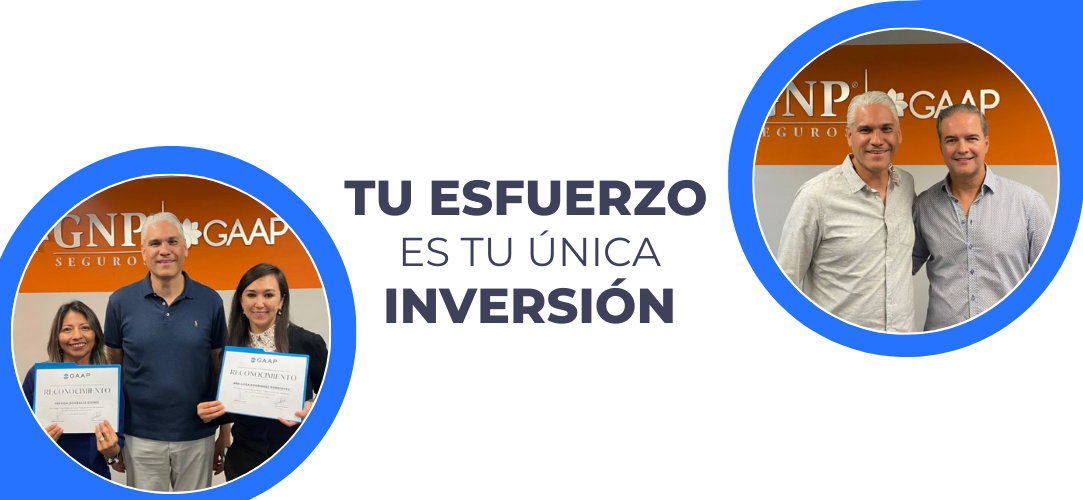 Aesthetic Twitter Header